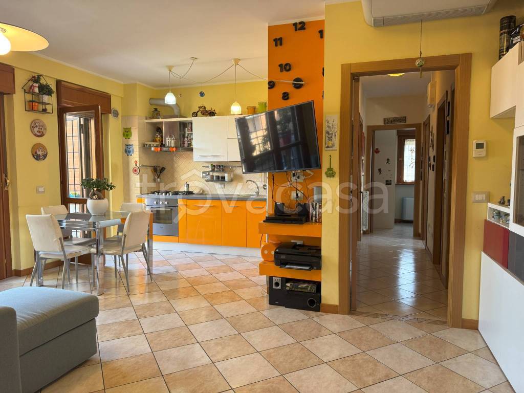immagine annuncio 11 di 15