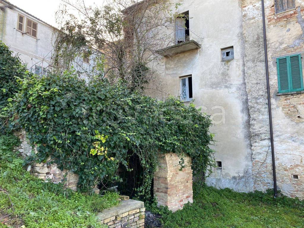 immagine annuncio 3 di 4