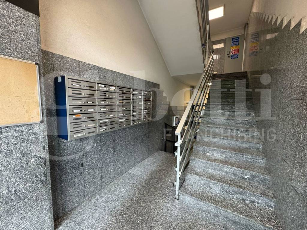 immagine annuncio 2 di 14