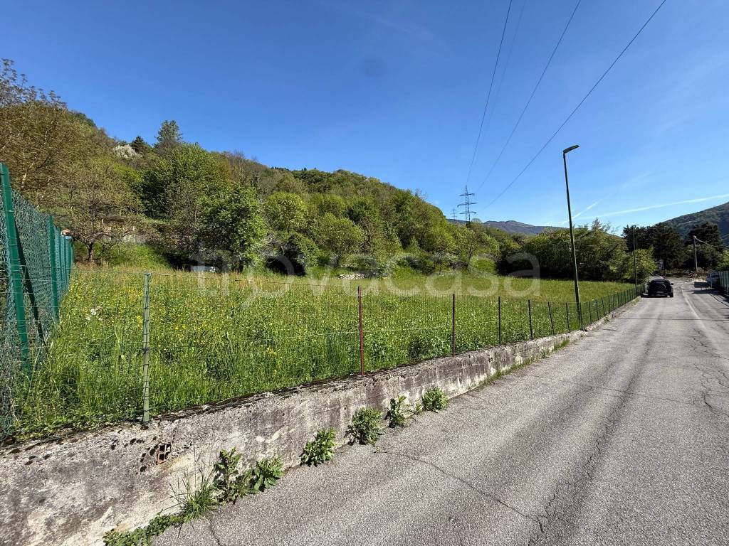 immagine annuncio 7 di 11