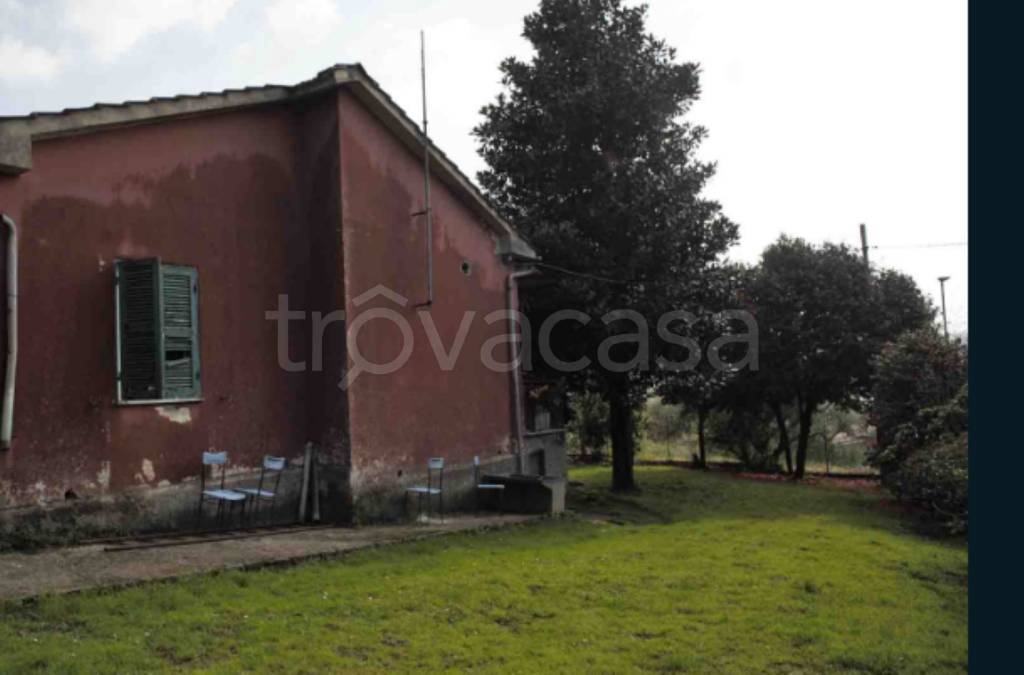 immagine annuncio 4 di 12