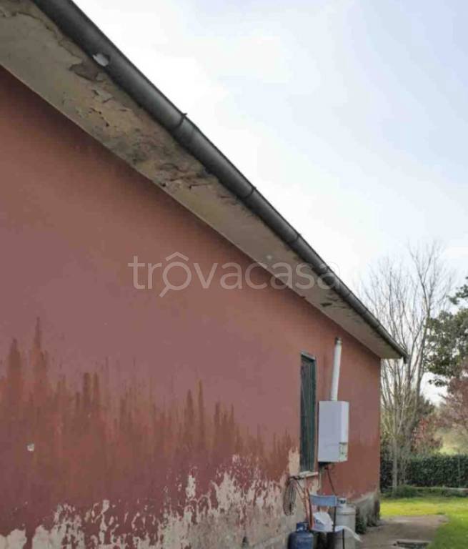 immagine annuncio 5 di 12