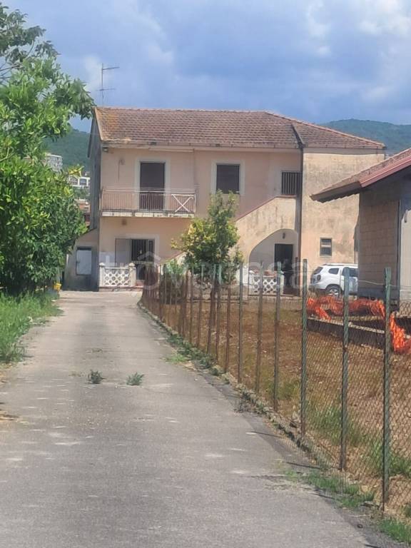 immagine annuncio 6 di 14