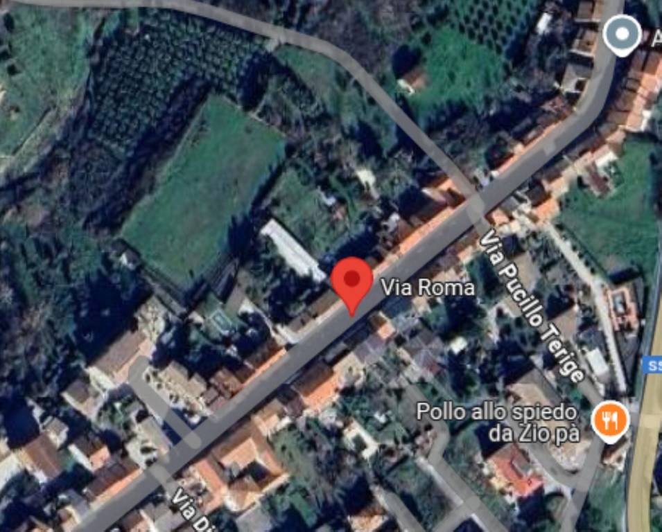 immagine annuncio 1 di 11