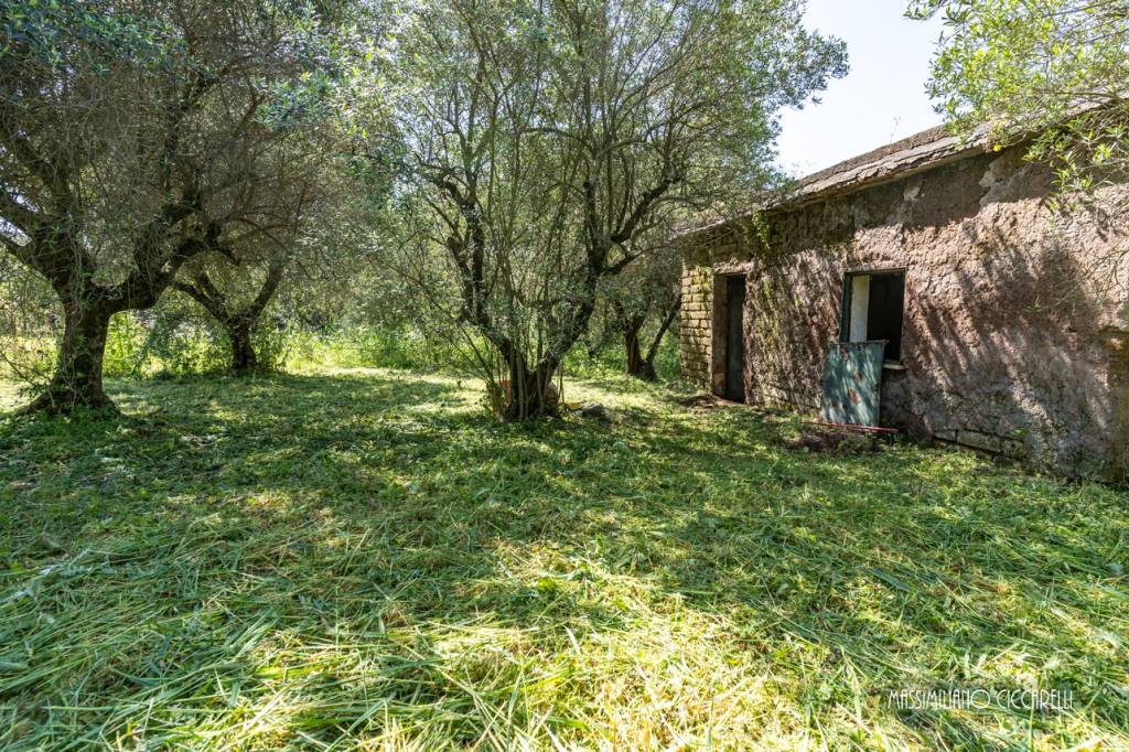 immagine annuncio 4 di 14
