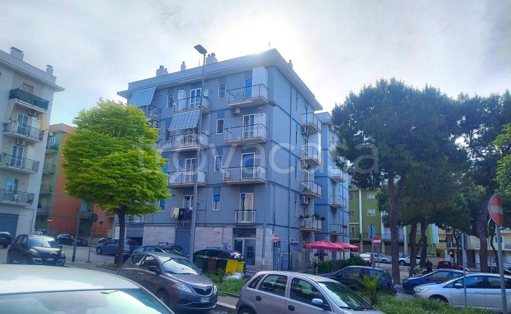 immagine annuncio 2 di 14