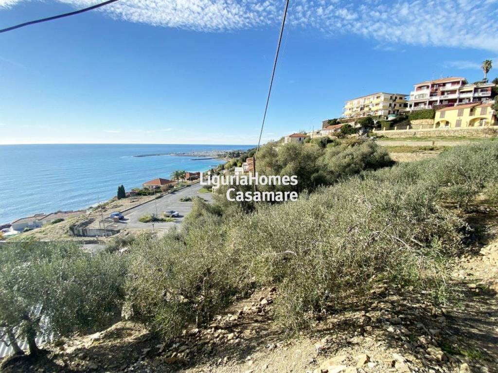 immagine annuncio 5 di 14