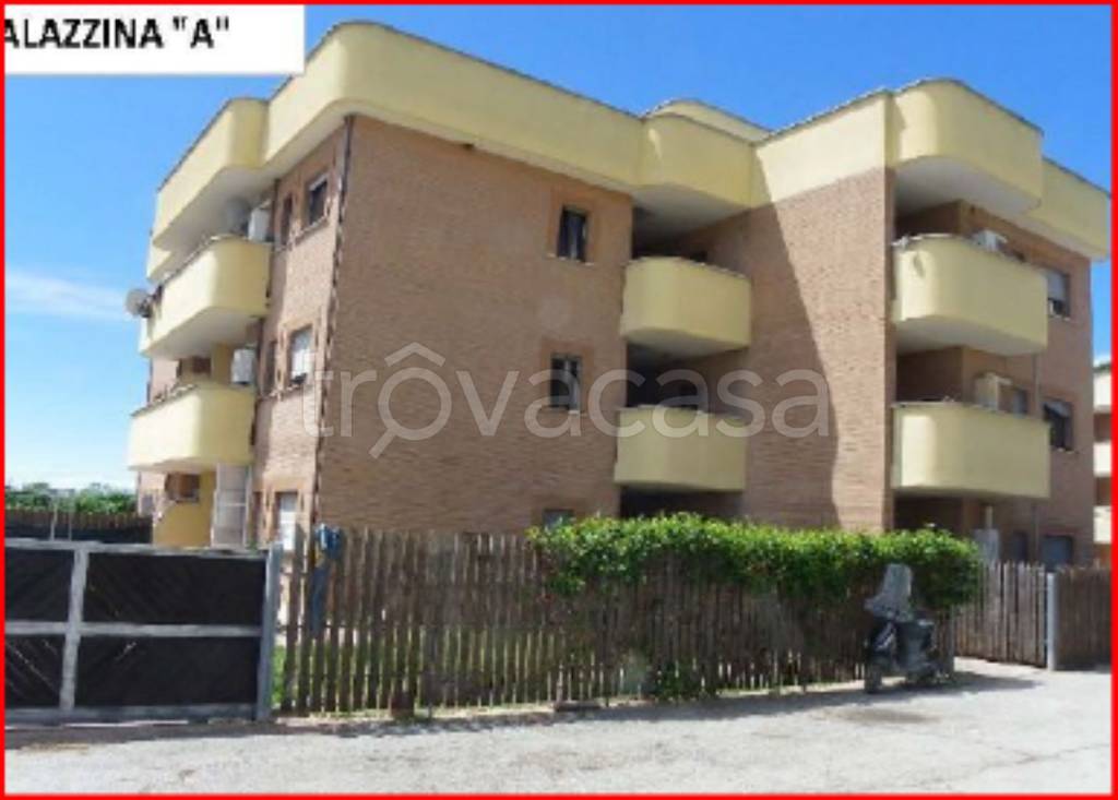 immagine annuncio 1 di 11