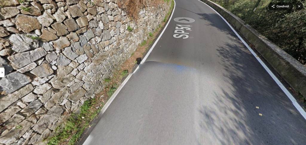 immagine annuncio 5 di 11