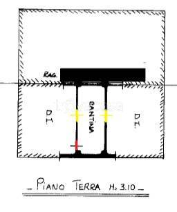 immagine annuncio 10 di 13