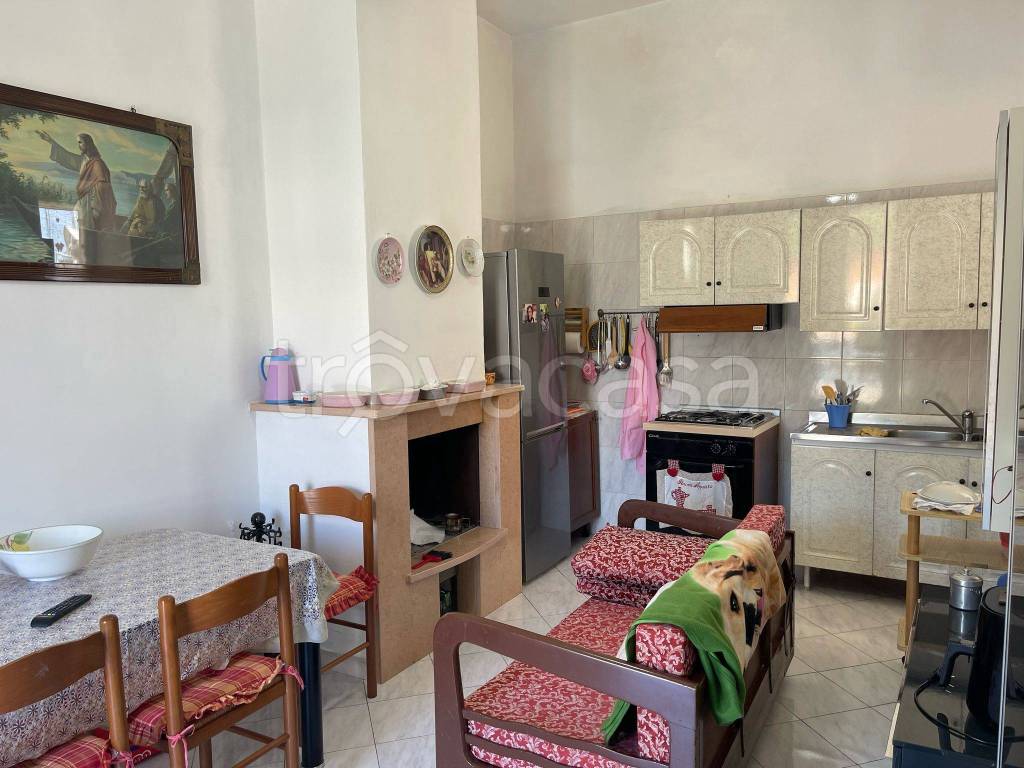 immagine annuncio 11 di 14
