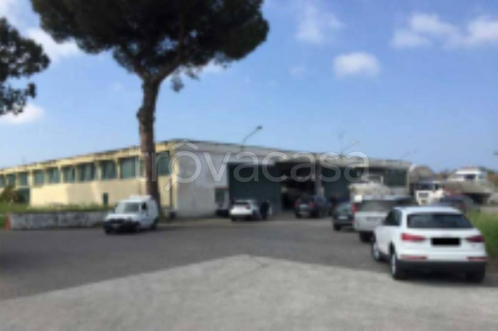 immagine annuncio 4 di 11