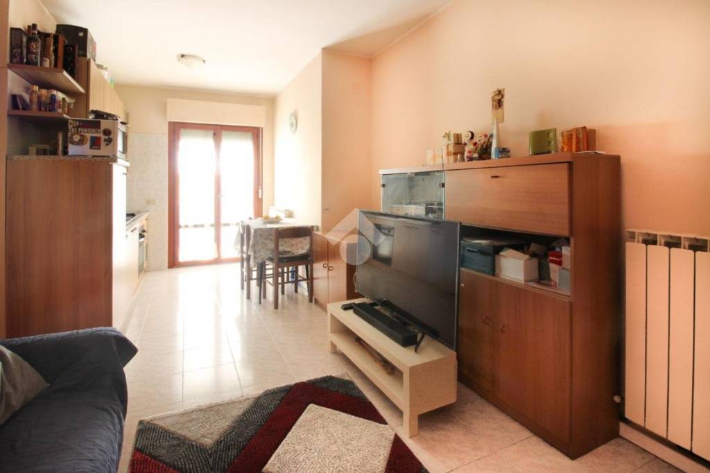 immagine annuncio 3 di 12