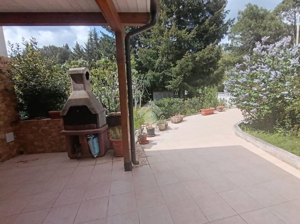 immagine annuncio 5 di 6
