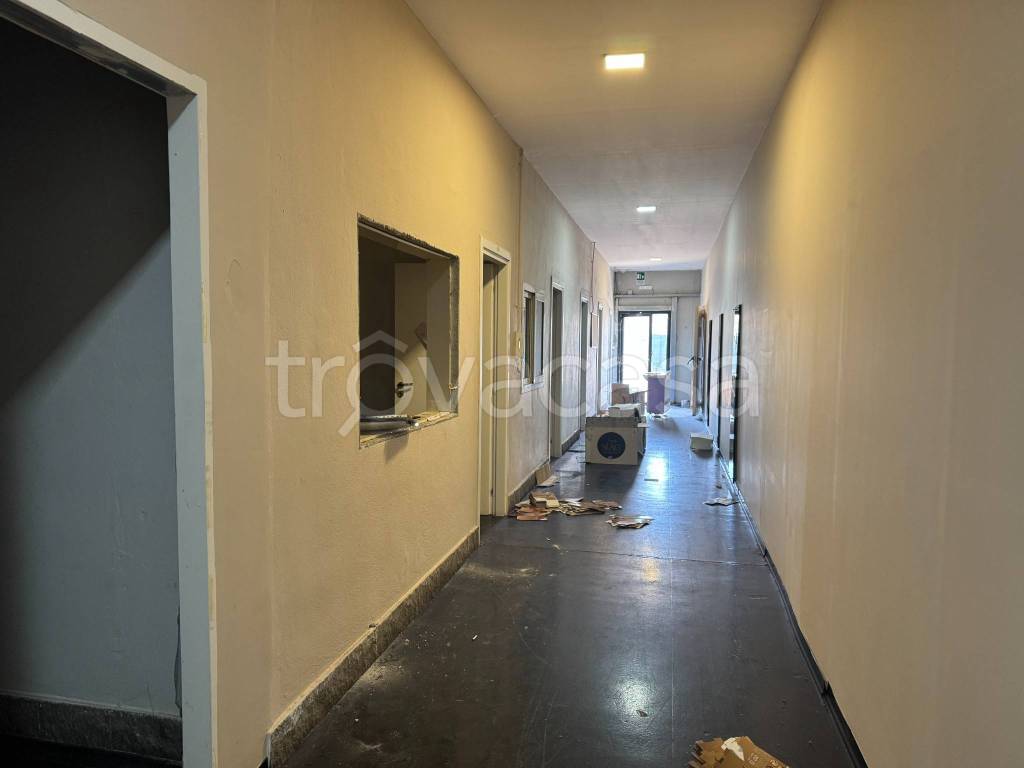 immagine annuncio 5 di 6