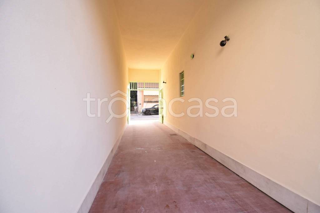 immagine annuncio 11 di 14