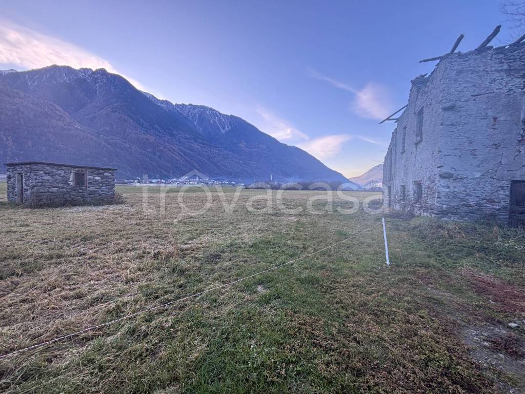 immagine annuncio 10 di 14