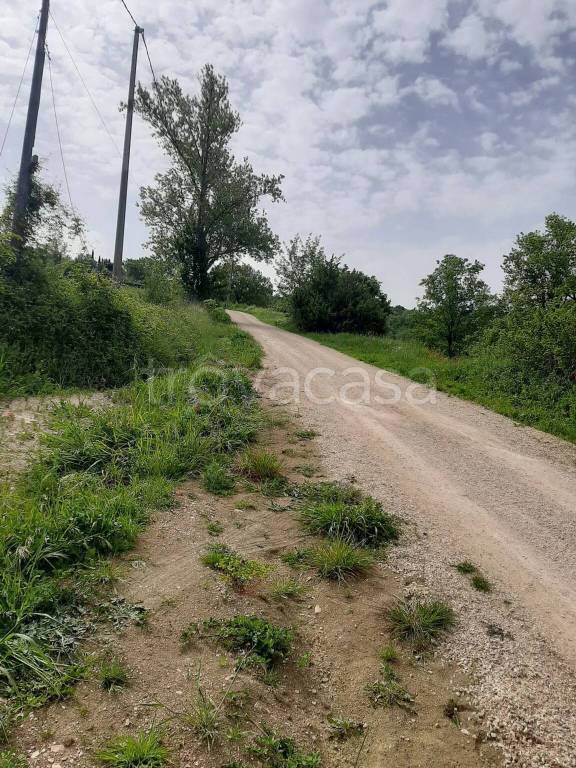 immagine annuncio 6 di 10
