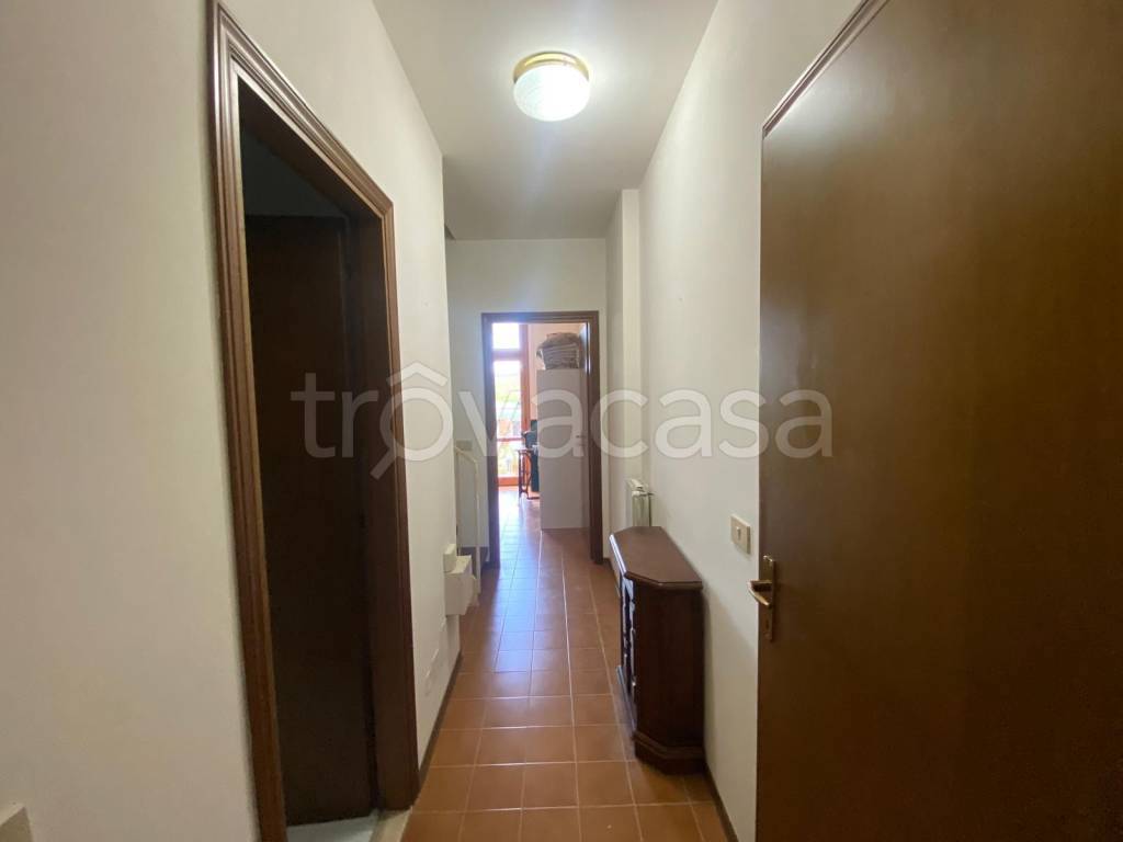 immagine annuncio 9 di 14