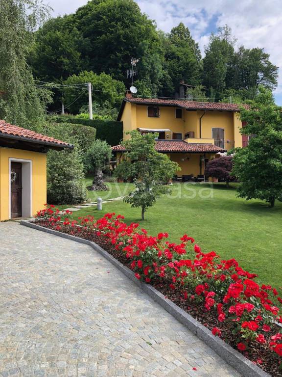 immagine annuncio 3 di 14