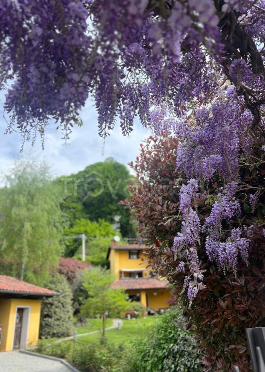 immagine annuncio 11 di 14