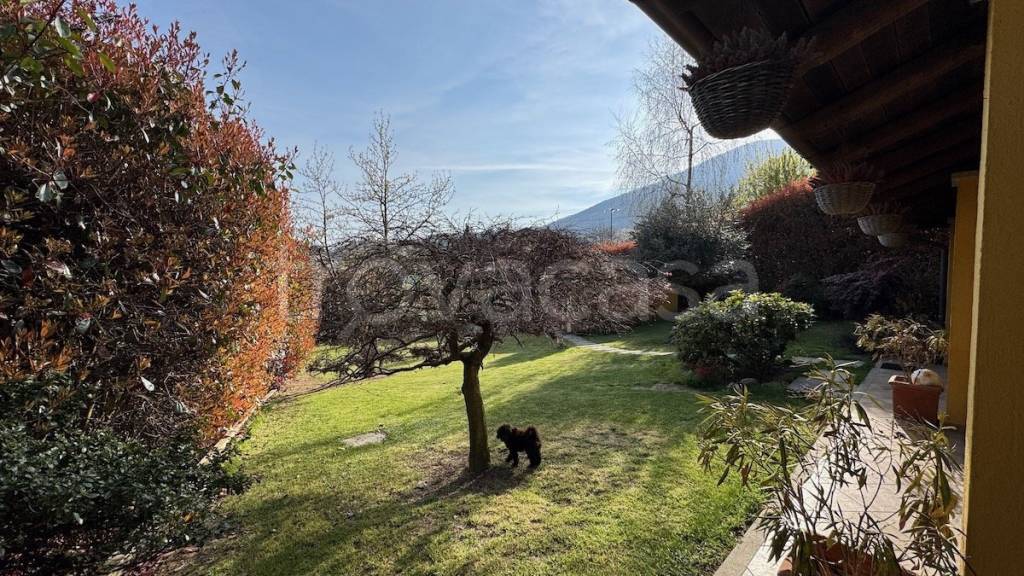 immagine annuncio 8 di 14