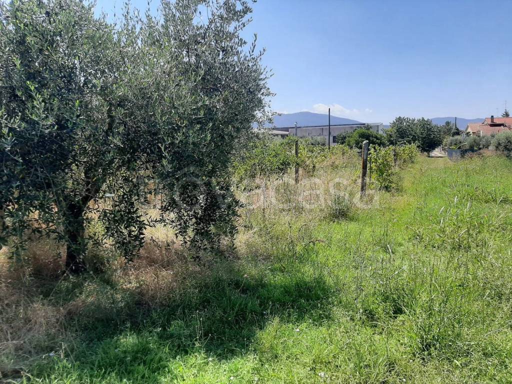 immagine annuncio 3 di 7