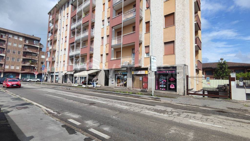 immagine annuncio 1 di 15