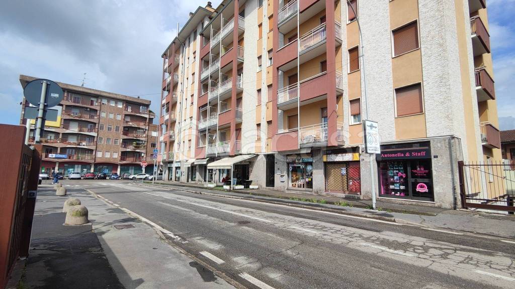 immagine annuncio 8 di 15