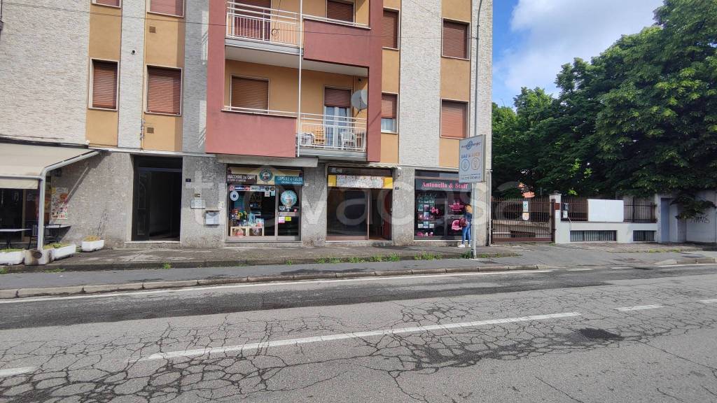 immagine annuncio 11 di 15