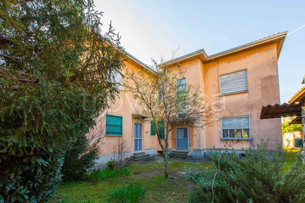 immagine annuncio 11 di 15