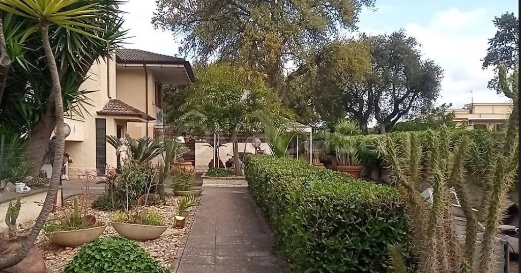immagine annuncio 1 di 3
