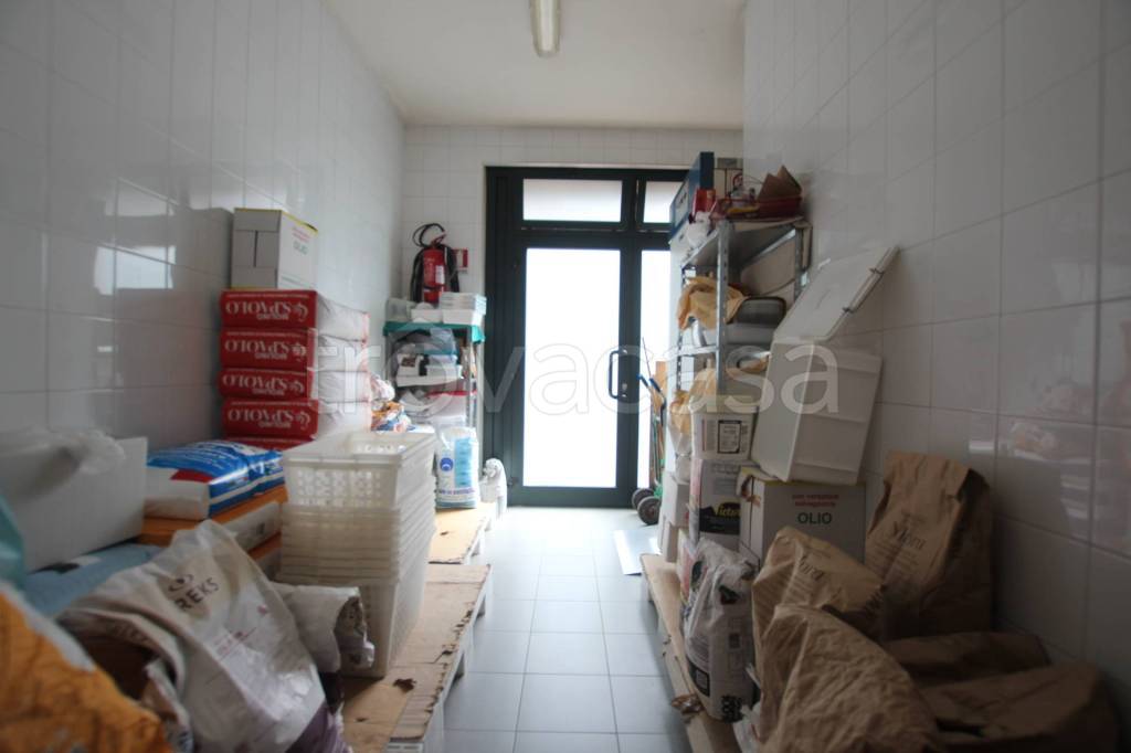 immagine annuncio 4 di 14