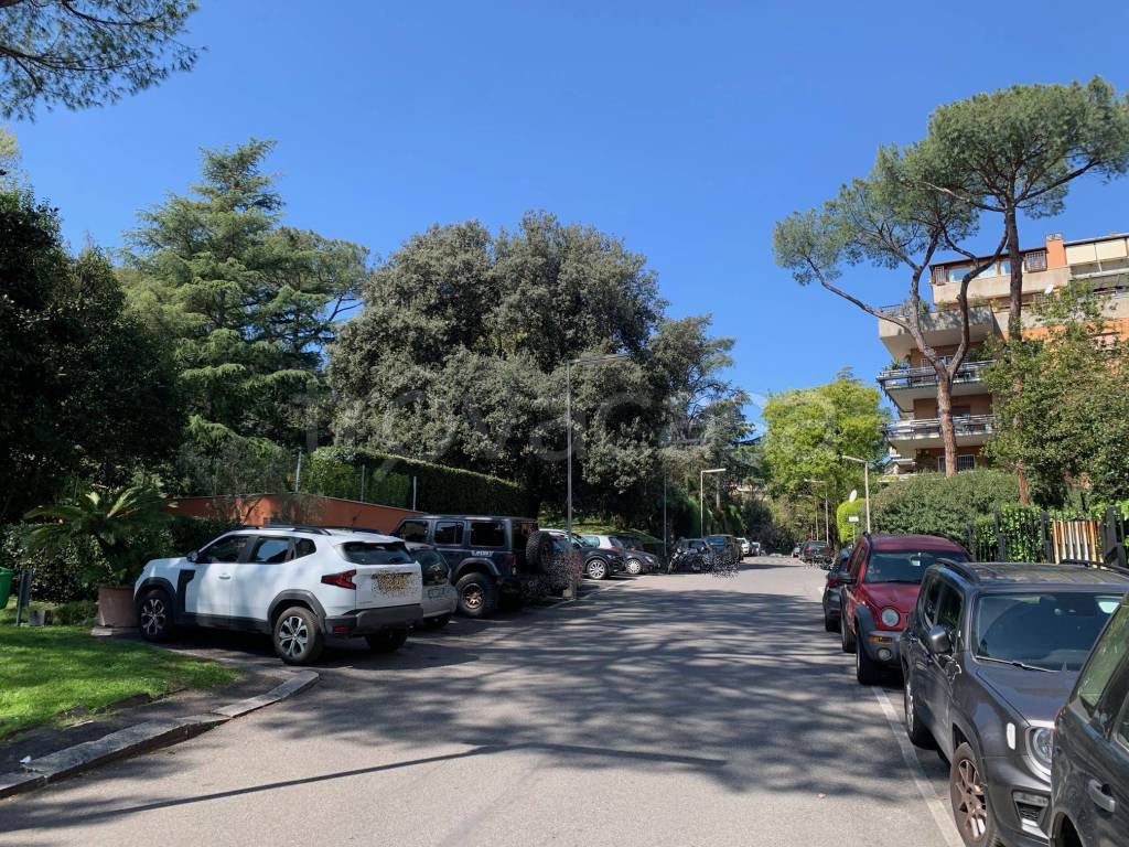 immagine annuncio 1 di 6