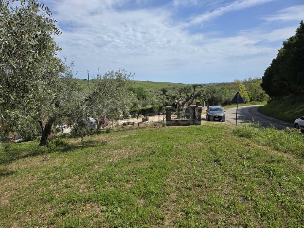 immagine annuncio 8 di 14