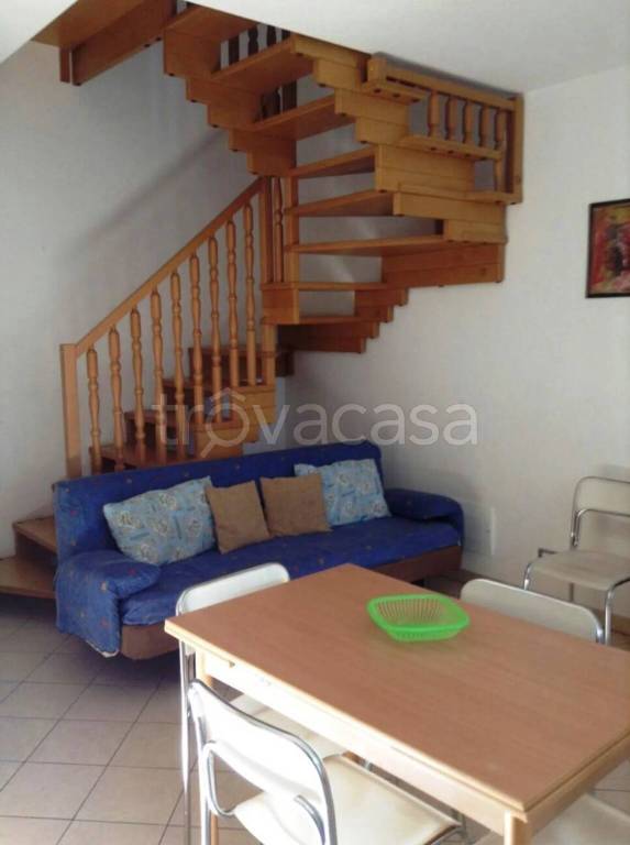 immagine annuncio 9 di 14