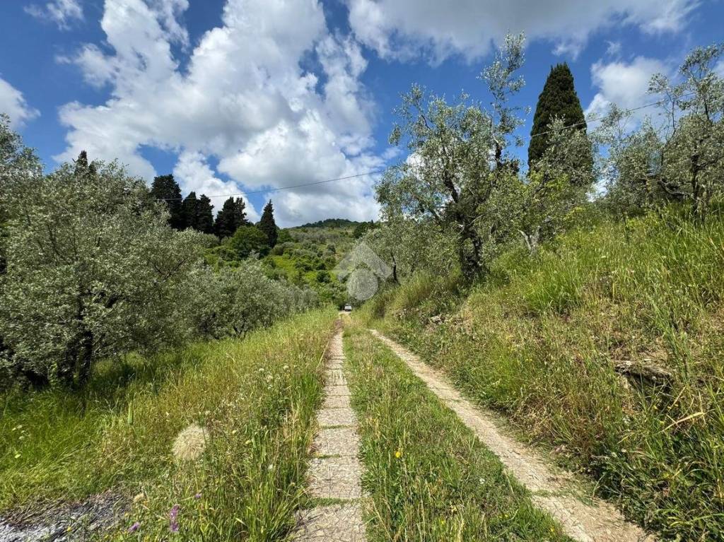 immagine annuncio 1 di 7