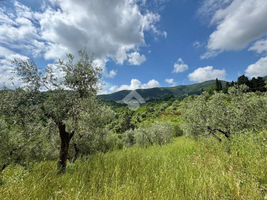 immagine annuncio 3 di 7