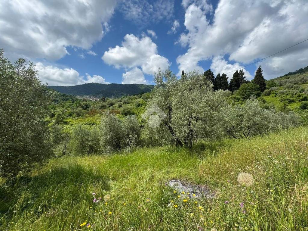 immagine annuncio 2 di 7
