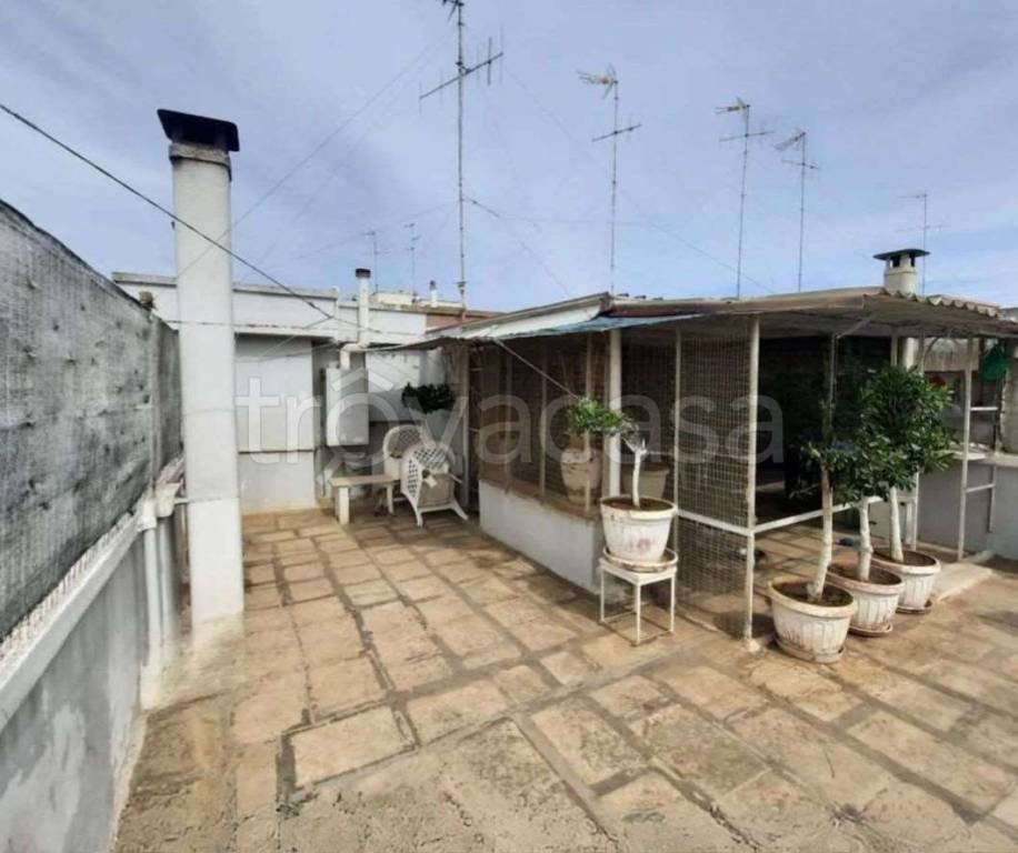 immagine annuncio 3 di 14