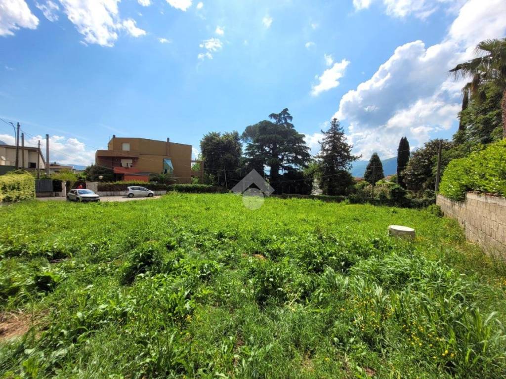 immagine annuncio 9 di 11