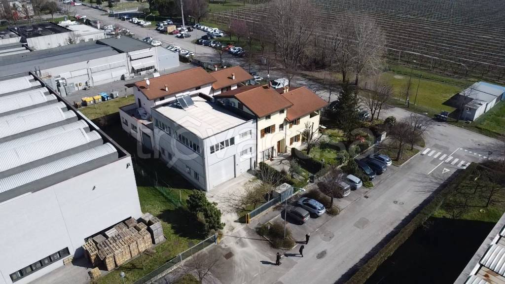 immagine annuncio 11 di 12
