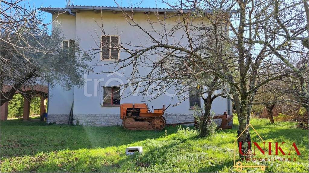 immagine annuncio 11 di 13