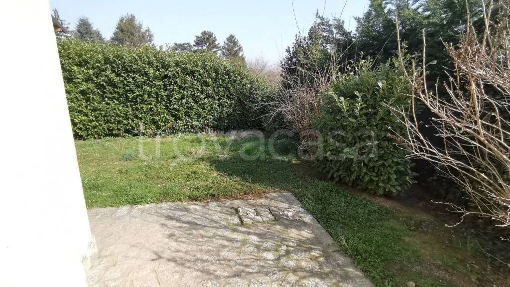 immagine annuncio 7 di 8