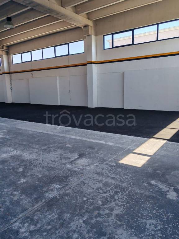 immagine annuncio 1 di 9