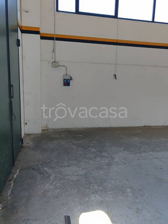 immagine annuncio 5 di 9