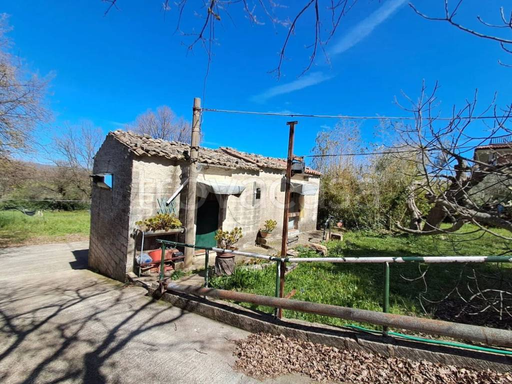 immagine annuncio 1 di 7