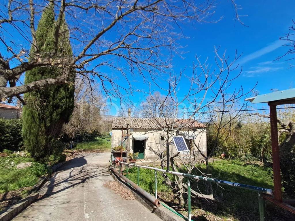 immagine annuncio 3 di 7