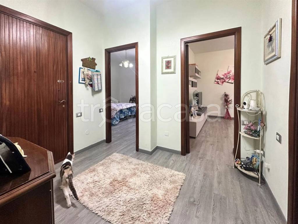 immagine annuncio 5 di 13