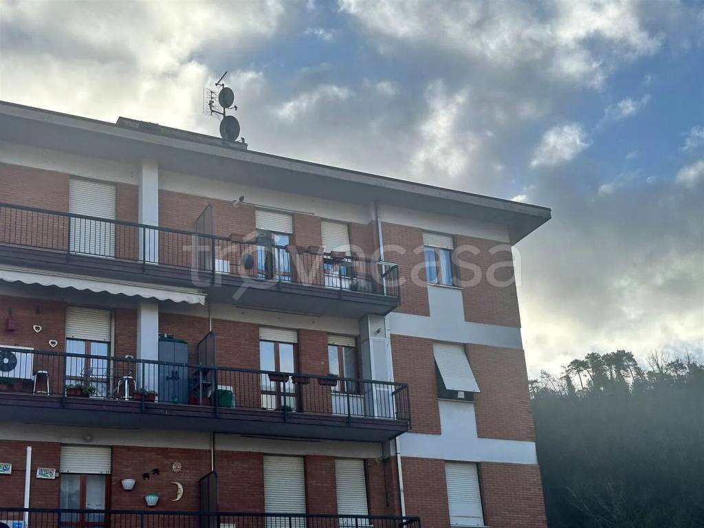 immagine annuncio 11 di 13